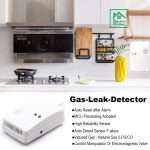 LPG Gas Detector Sensor Detection Alert System. Gas Detector Plug in Gas Leak Detector. Popular Home Kitchen LPG Gas Leak Detection Alarm System